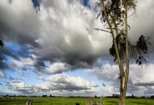 雷火电竞入口-NBA｜国米双星闪耀，命运十字路口的双重奏！