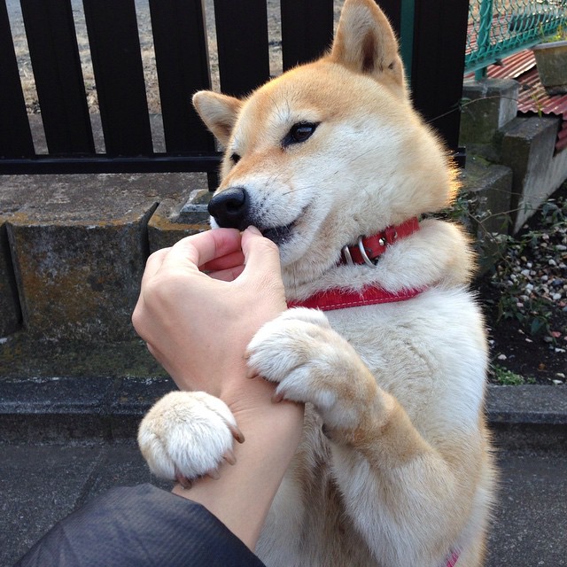 沙特资本世纪豪购勒沃库森！内马尔转会成破局关键，阿隆索史诗赛季见证足球新秩序崛起