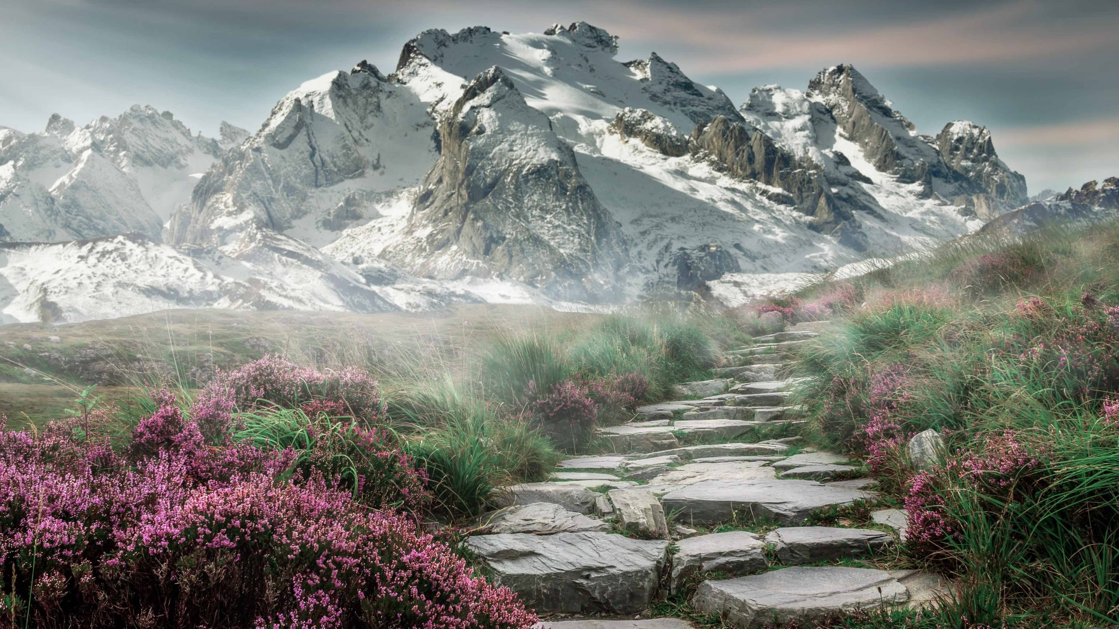 雷火电竞网站-坚不可摧的东方壁垒，富安健洋在阿森纳对阵切尔西的焦点战中完成自我证明