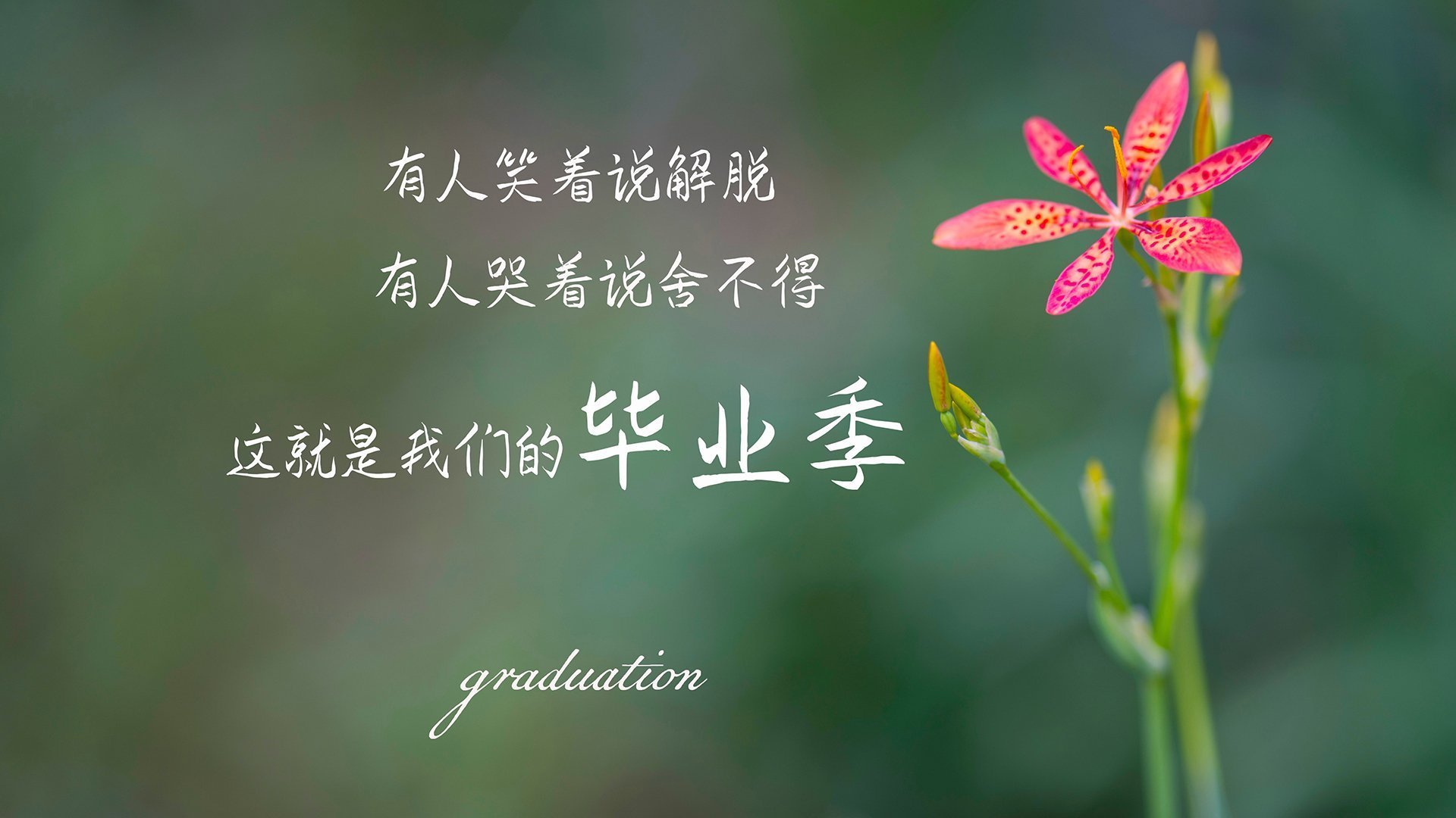 当虚拟钢印被盖上,西决错位时空中,步行者压哨一投的永恒重量