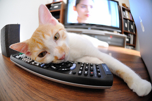 东方烈焰点燃绿茵,富安健洋主宰赛场,澳大利亚压哨绝杀比利亚雷亚尔