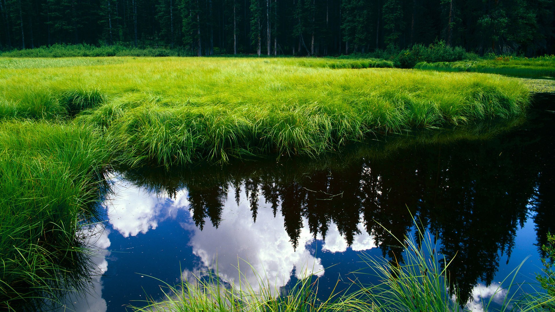 三问掘金速胜，小贾伦如何从犯规王蜕变为胜负手？