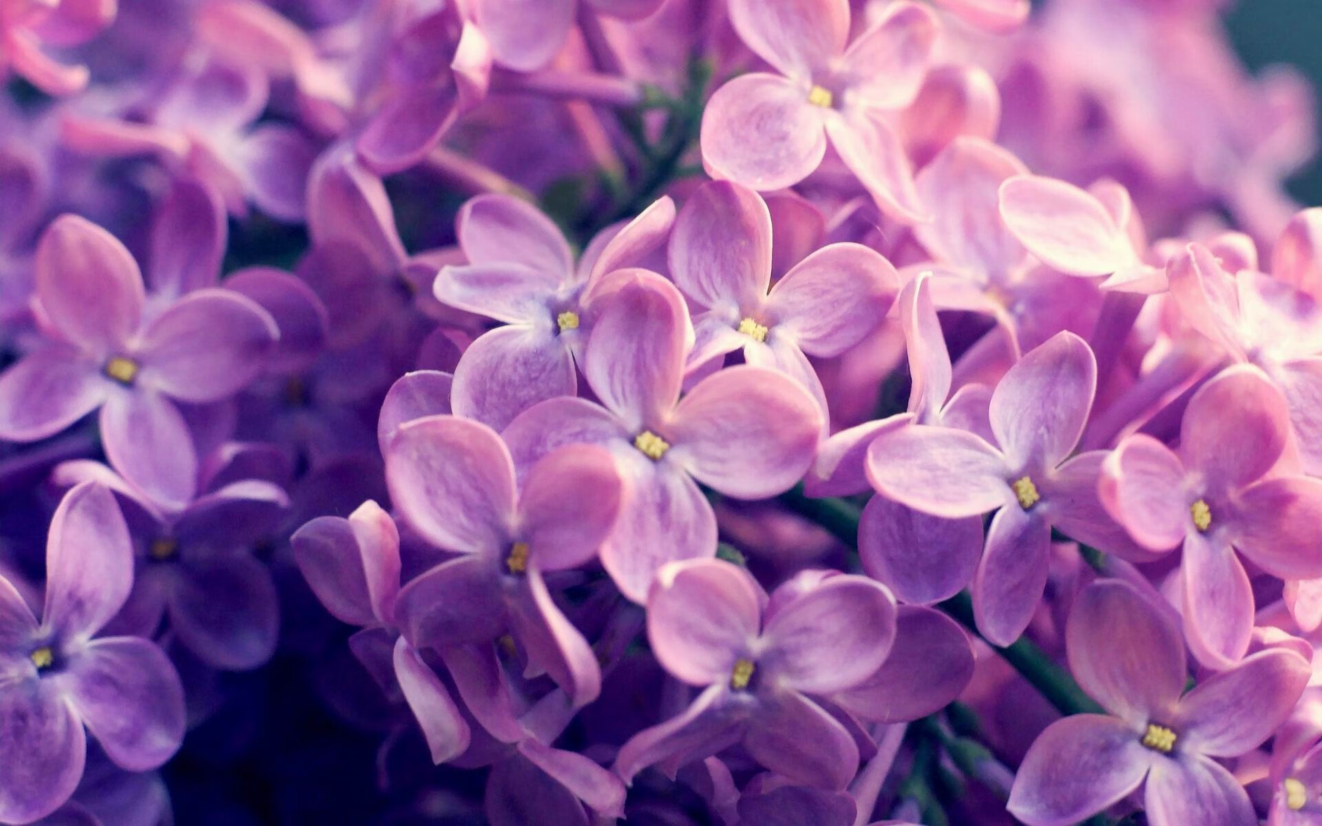 雷火电竞app-极速狂飙，辽宁队如F1赛车般连续超车，浙江队于竞技街道无路可逃