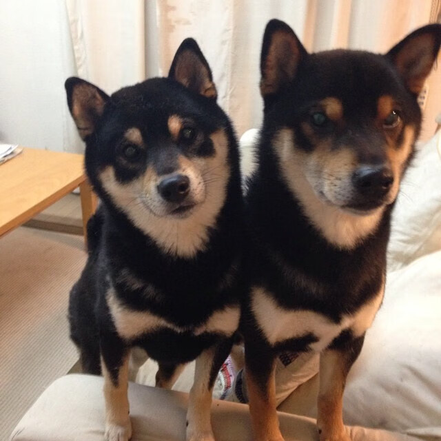 雷火电竞网站-绿茵双面镜，当国家德比照亮南非世界杯的黎明