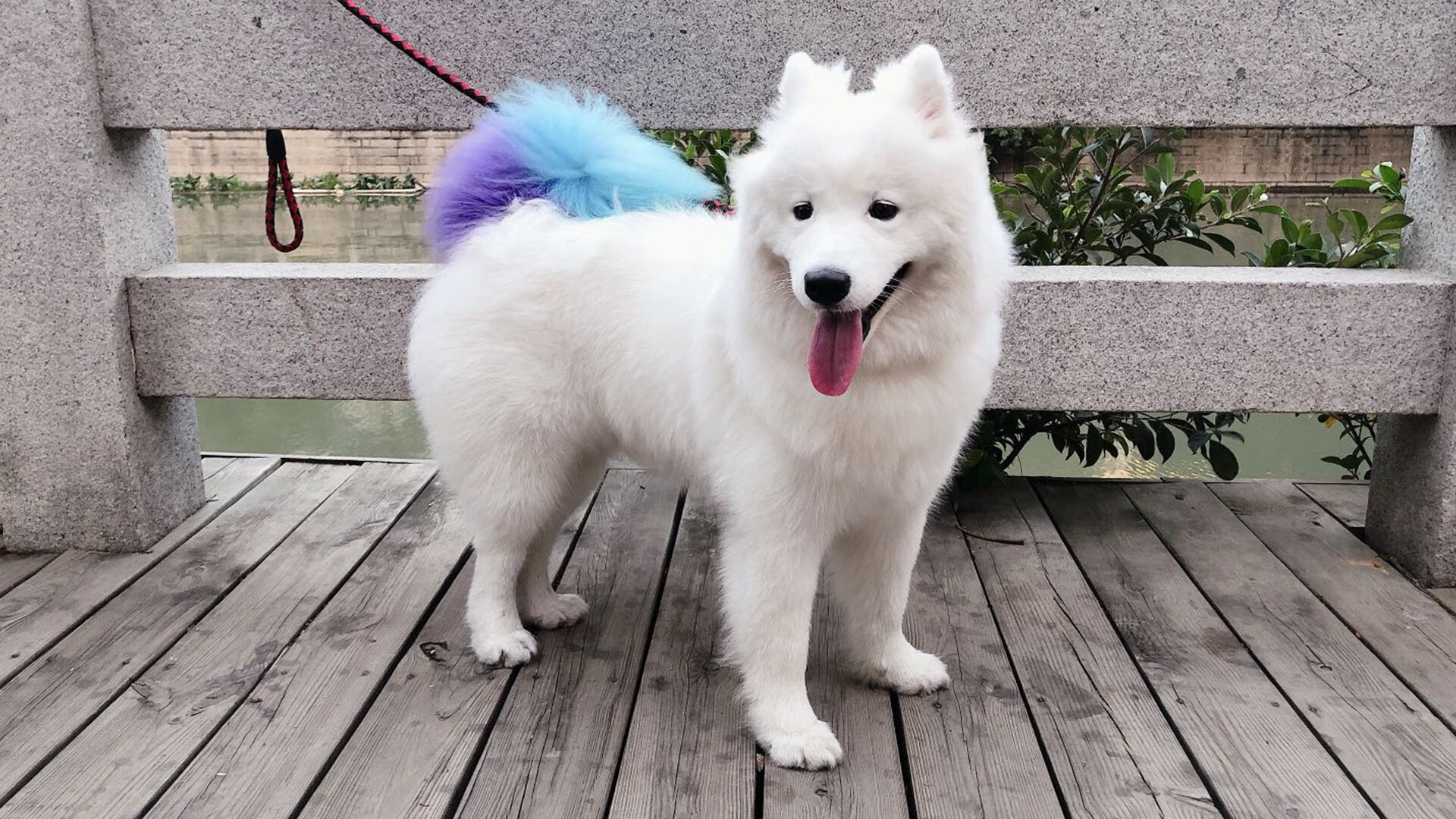 绿茵场上的双重奏，比利亚雷亚尔威压威尔士，伊布英超争冠时刻的绝对统治