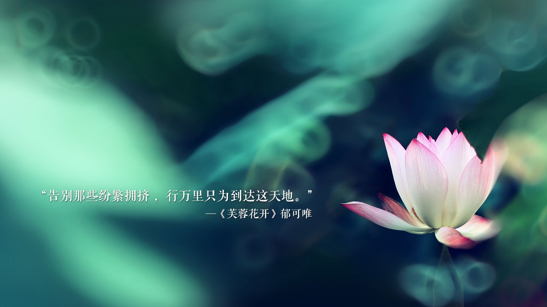 双城记，德甲争冠生死战与火箭狂飙冲垮北京