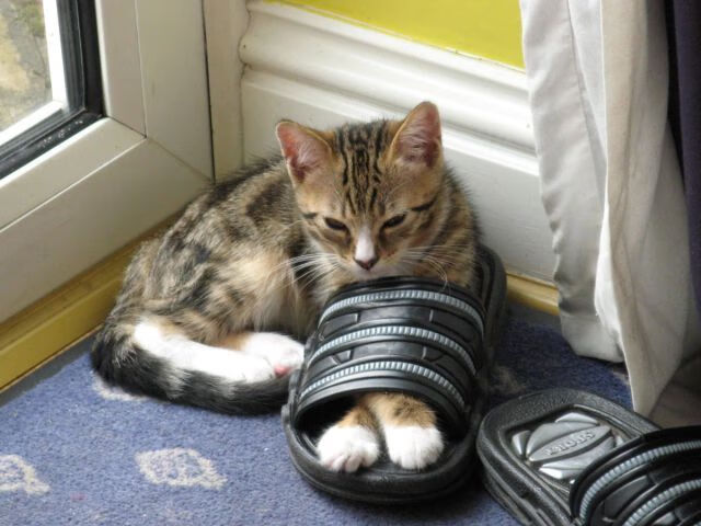 五指山落下,皮克四分钟的匕首,如何提前锁定国家德比之夜