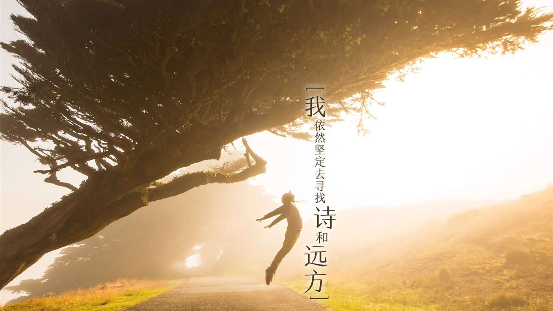 跨过直布罗陀的海市蜃楼,当本泽马为阿尔及利亚点燃胜利烽烟