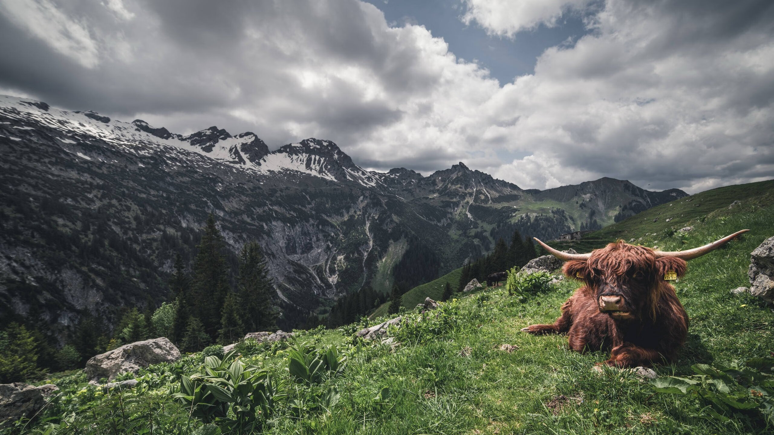恩比德大帝爆发76人取胜,独行侠关键战力克湖人