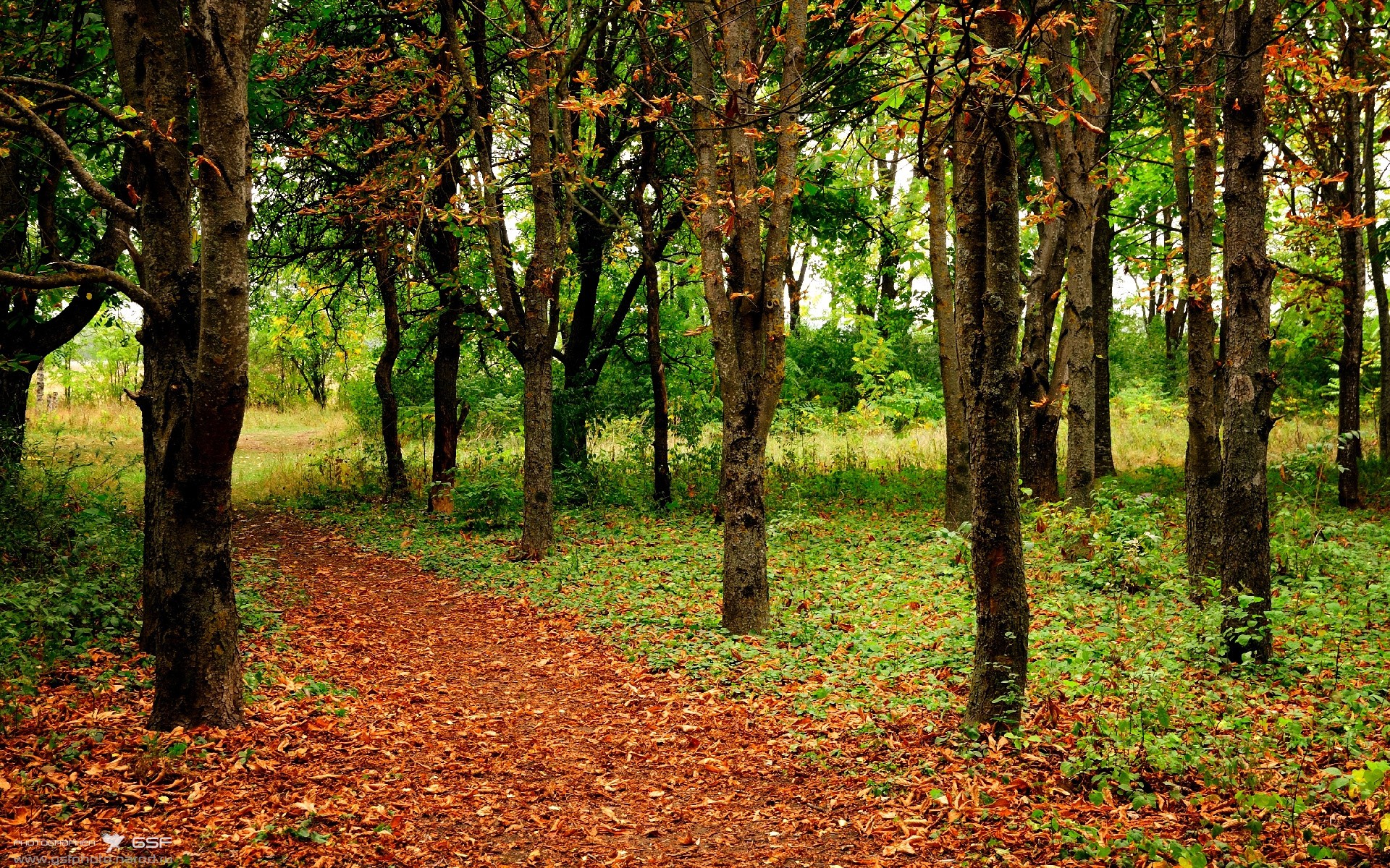 寒冰烈火，卡马文加的爆发与芬兰式战术如何冰封那不勒斯的南欧热浪