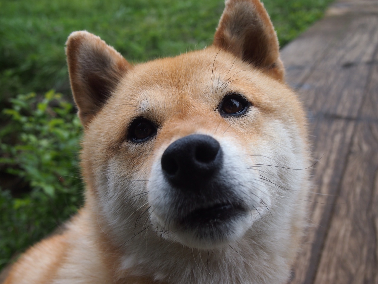 意甲焦点战之夜，文班亚马如风暴般雕刻胜负